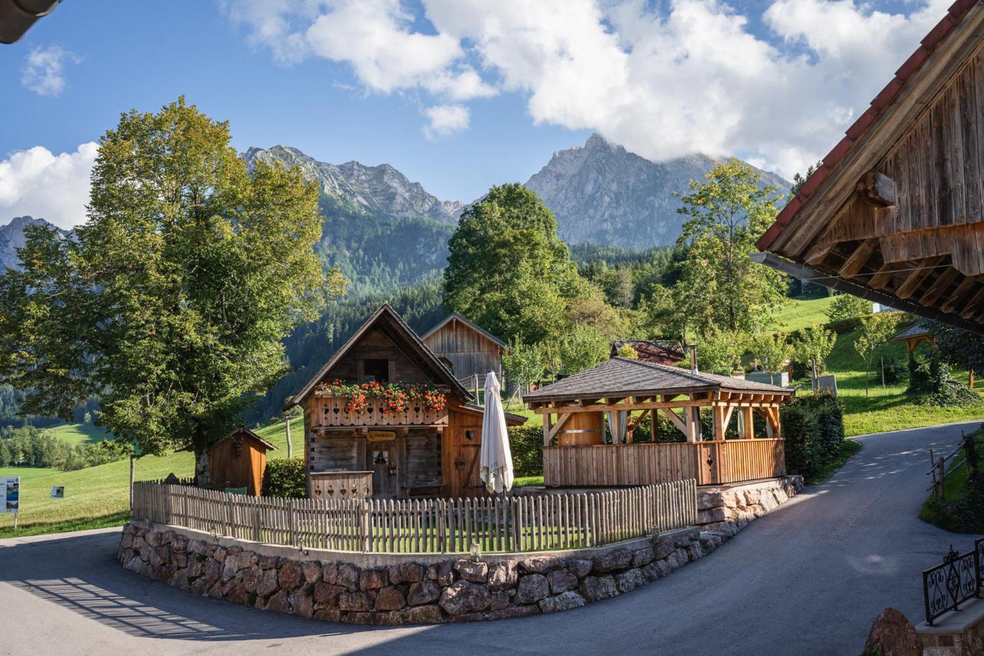 Singerskogel - Ferienhof Und Jausnstub'N Spital Am Pyhrn Exteriör bild