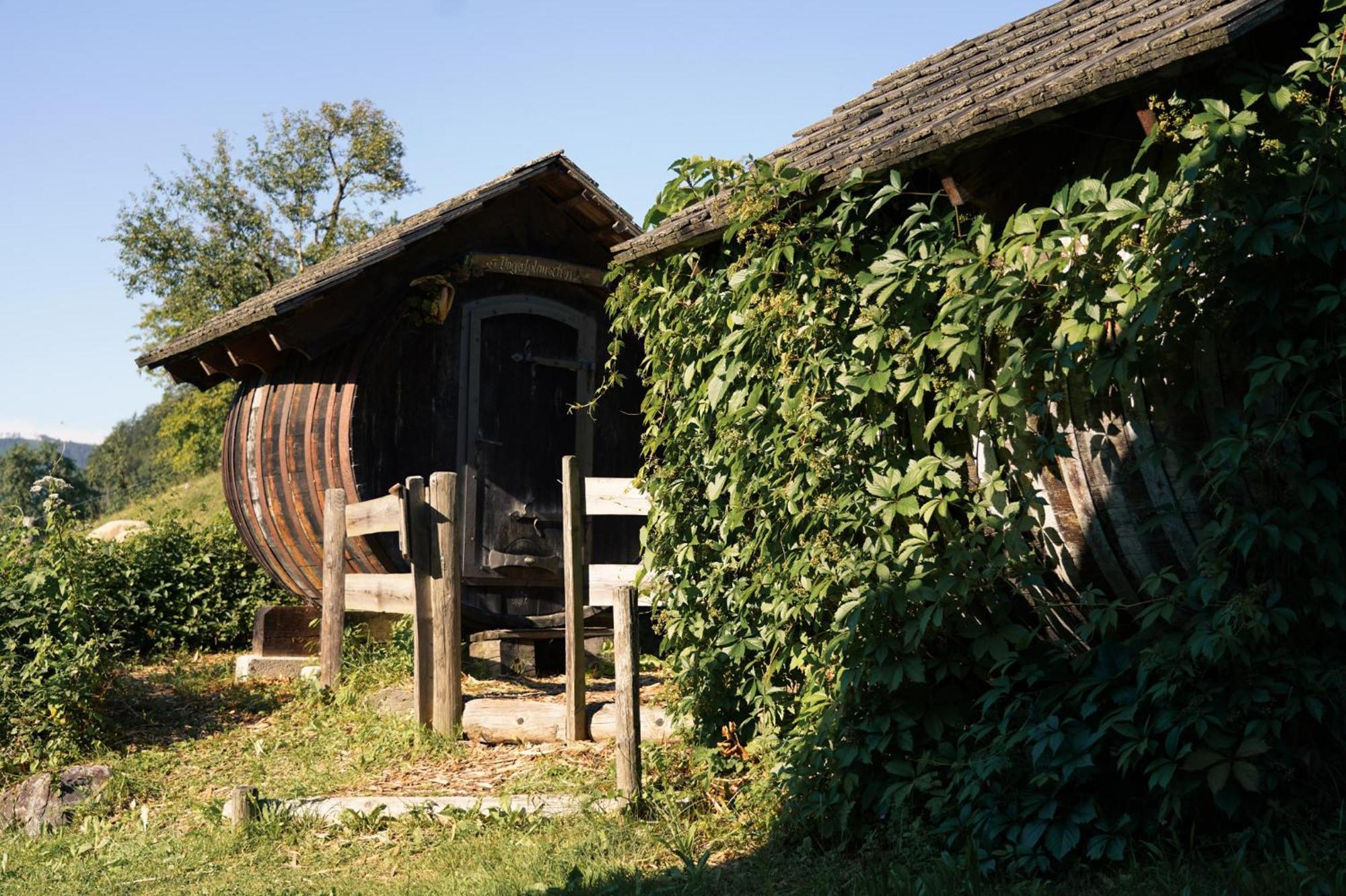 Singerskogel - Ferienhof Und Jausnstub'N Spital Am Pyhrn Exteriör bild