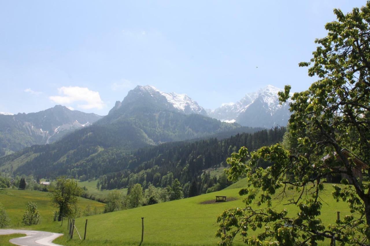 Singerskogel - Ferienhof Und Jausnstub'N Spital Am Pyhrn Exteriör bild
